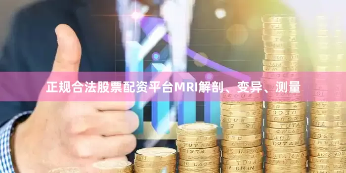 正规合法股票配资平台MRI解剖、变异、测量